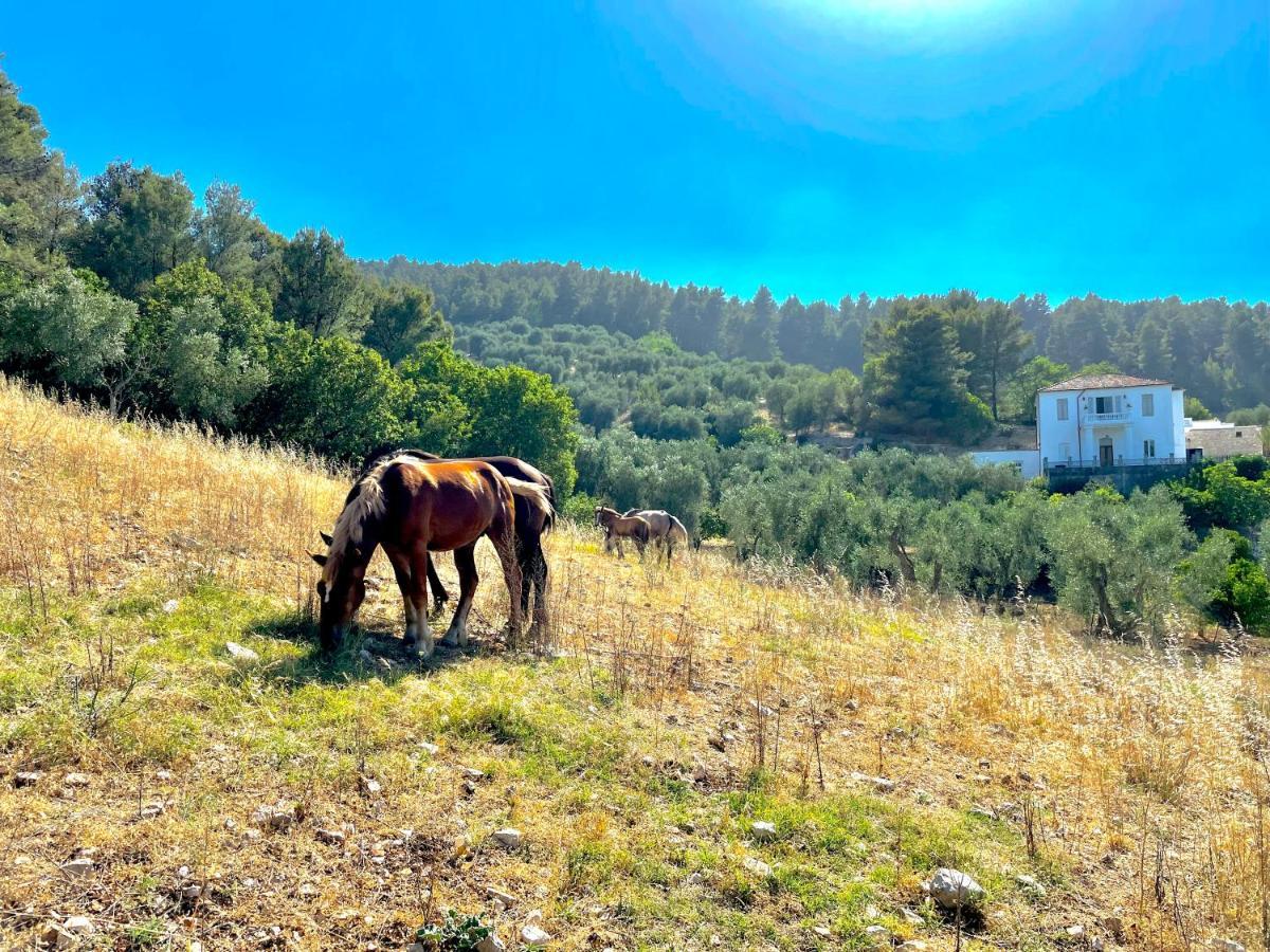 Novecento Country House Vieste Exterior foto